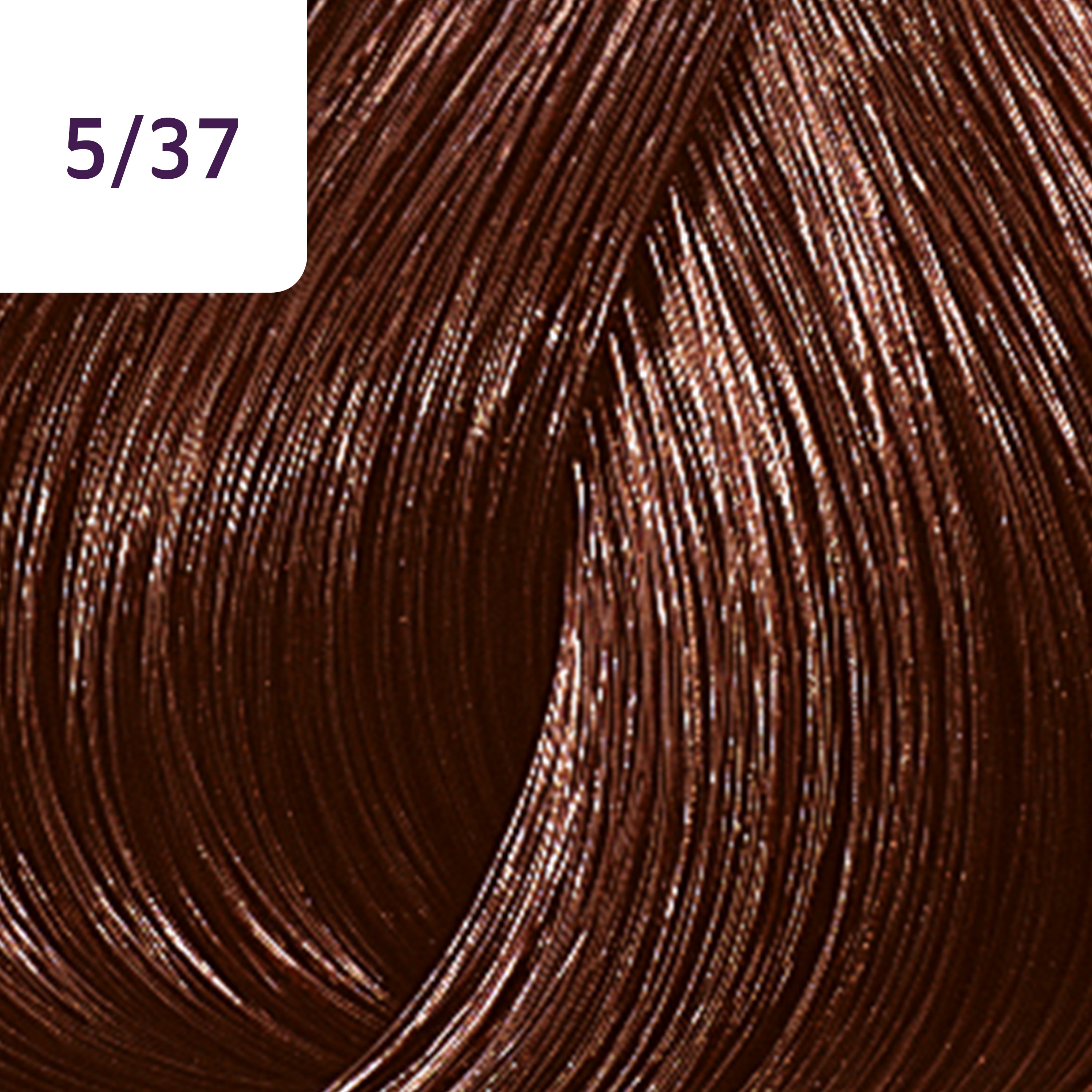 Wella Professional Color Touch Rich Naturals 5/37 Lysebrun gylden-brun