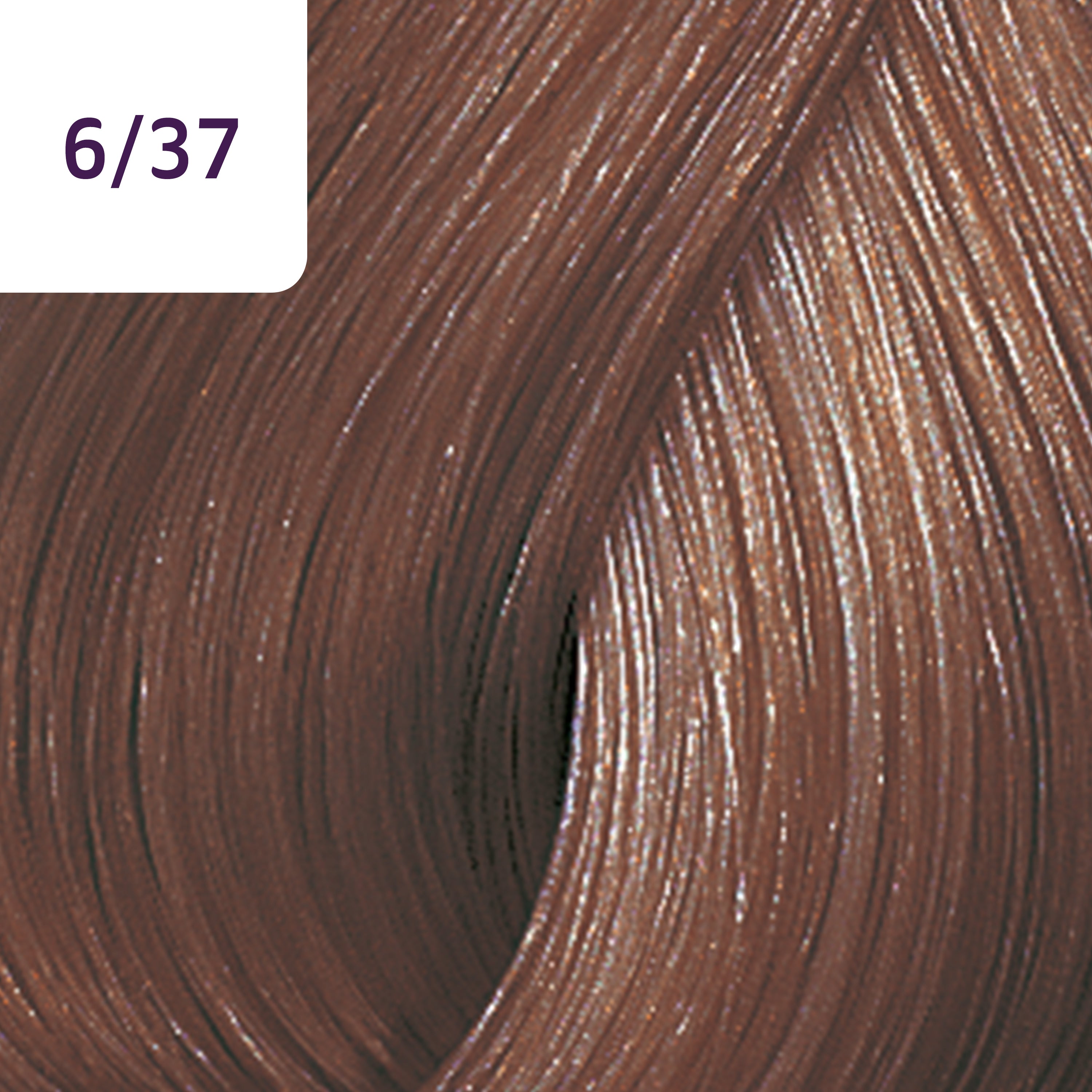 Wella Professional Color Touch Rich Naturals 6/37 Mørkeblond gylden-brun