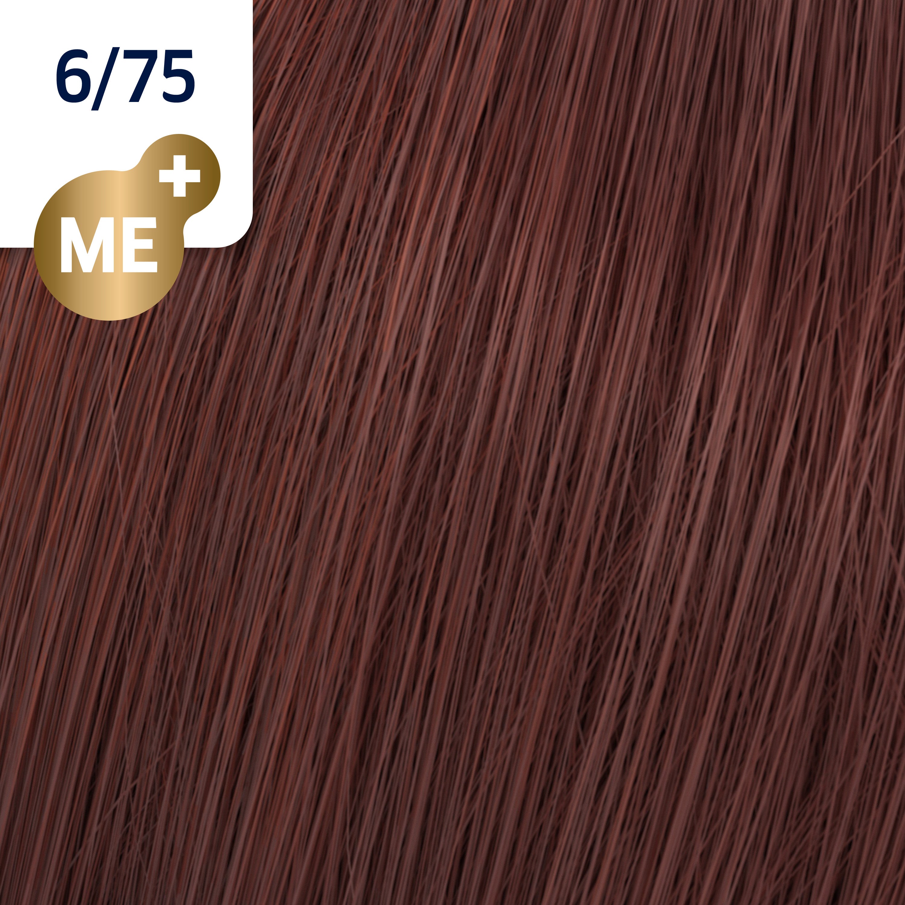 Wella Koleston Perfect Me+ Deep Browns 6/75 Dark Brown - Mahogany Blonde